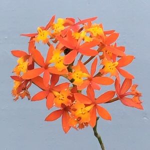 😊 I send offers Friday & Sunday.  Reduced shipping days!  Look for them!